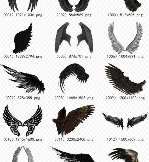 143 Cartoon Hand-Painted Black Angel Wings Demon Wings Wings - Etsy