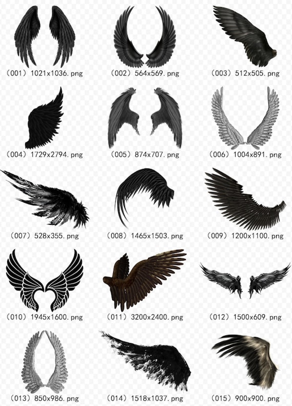 143 Cartoon Hand-Painted Black Angel Wings Demon Wings Wings - Etsy