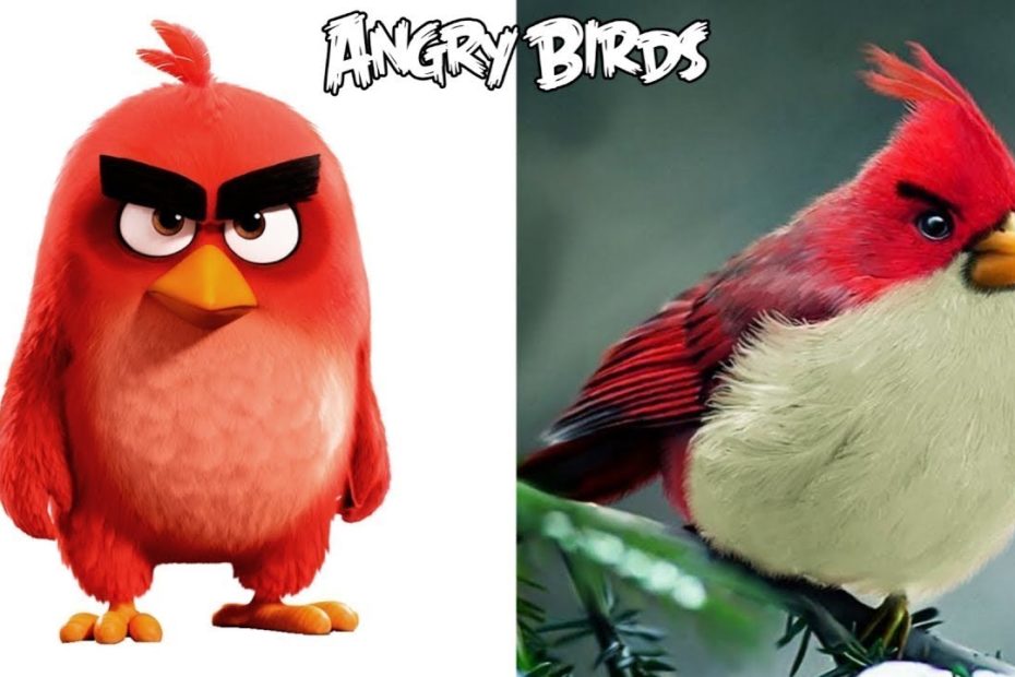 Angry Birds Characters In Real Life | All Characters | - Youtube