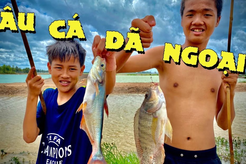 Anh Ba Phải | Một Ngày Đi Câu Cá Dã Ngoại - Bội Thu | Picnic Fishing -  Youtube