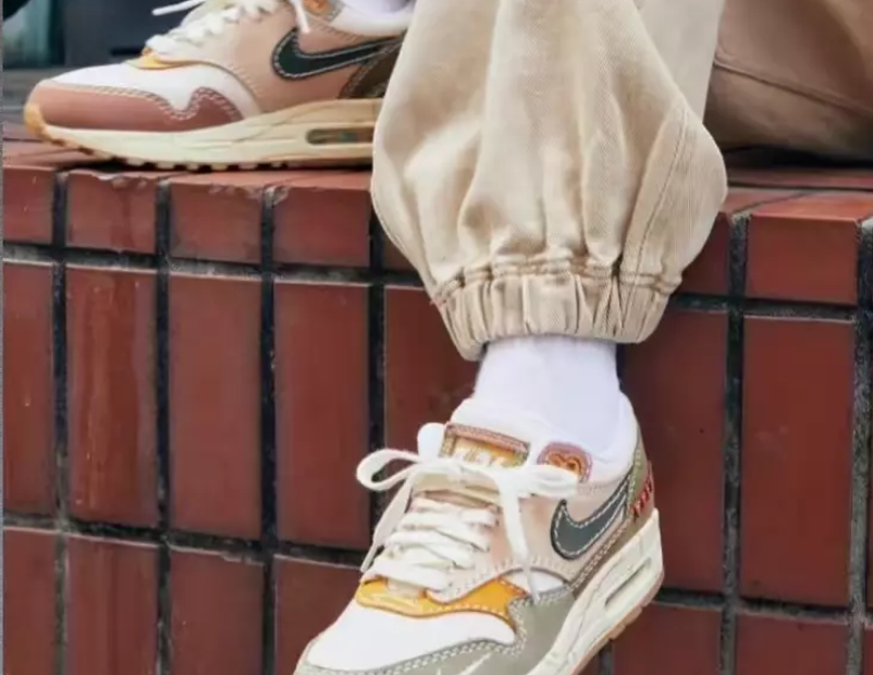 Giày Nike Air Max 1 Premium 'Wabi Sabi' Dq8656-133