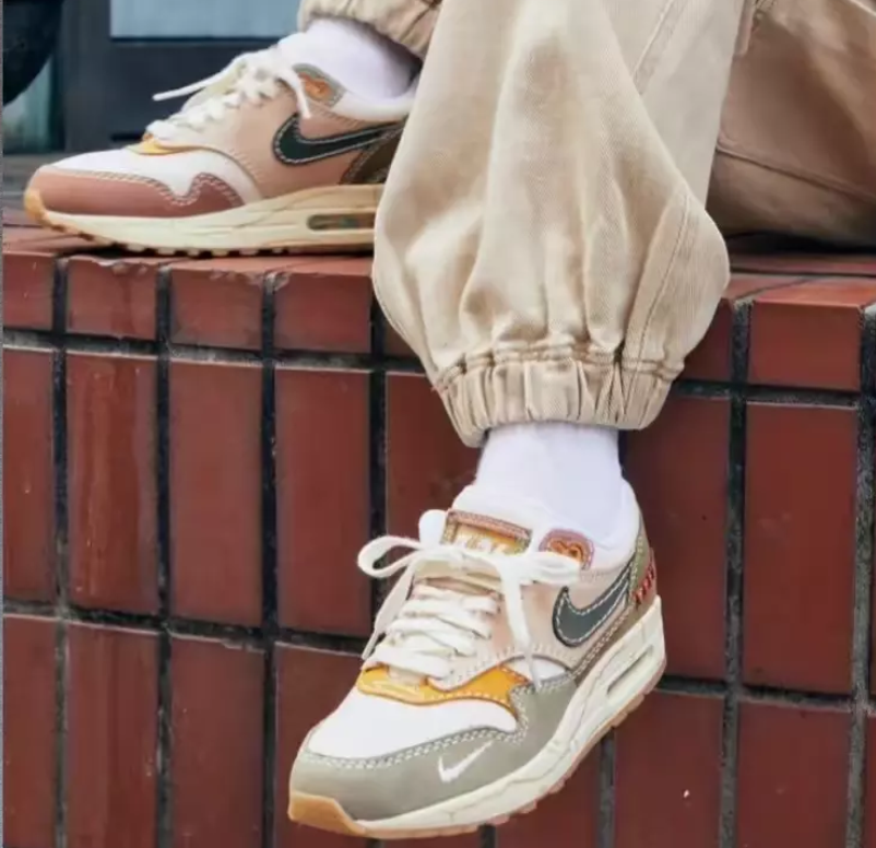 Giày Nike Air Max 1 Premium 'Wabi Sabi' Dq8656-133