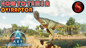 Ark How To Tame A Oviraptor - Creature Features - Youtube