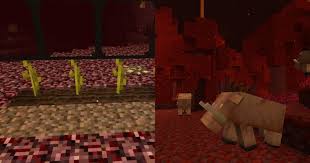 Minecraft How To Make Nether Wart Grow Faster - Youtube