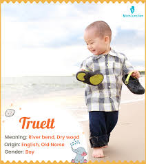 Truett Name Meaning, Origin, Numerology & Popularity - Drlogy