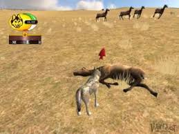 How To Find A Mate On Wolfquest: 7 Steps (With Pictures) - Wikihow