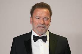 Can Arnold Schwarzenegger Speak German? - Quora