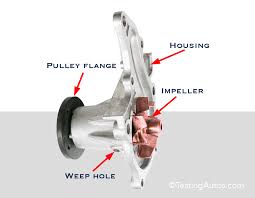 A Guide To Water Pump Weep Holes In Heavy Duty Trucks | Gmb Blog