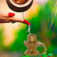 Buy Solino Brass Lord Shiva Linga Lingam Shivling Statue For Home Pooja  Shivlingam Home Décor Shivling Statue Decorative Diwali Gift Item Vastu  Showpiece Gold (50) Online At Low Prices In India -